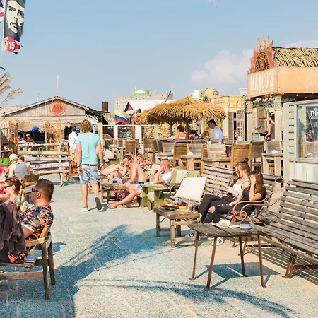 Chalet Zandvoort בקתה זנדוורט