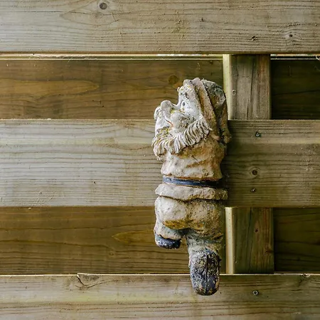 Chalet Zandvoort Chalet Zandvoort