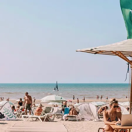 - Free Parking 샬레 *