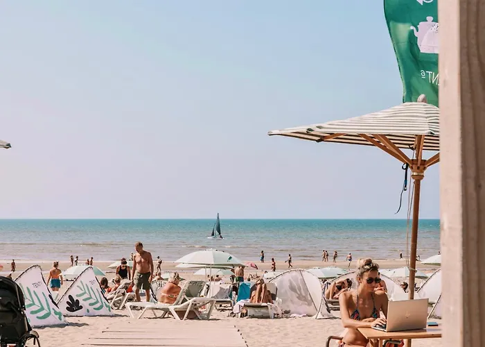 - Free Parking 샬레 *