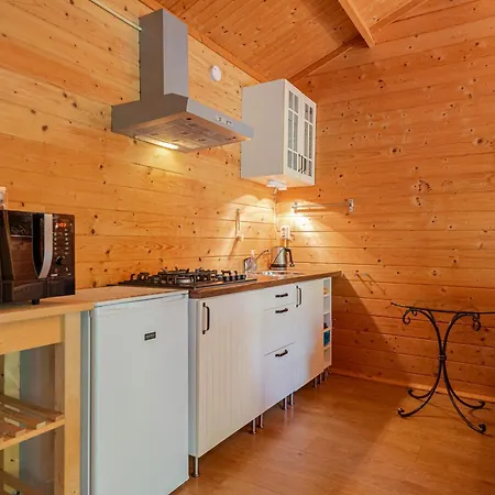Chalet Zandvoort